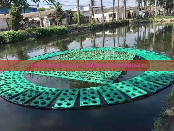 宜宾到云南温泉大型旅游团