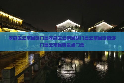 孝感去云南昆明门票