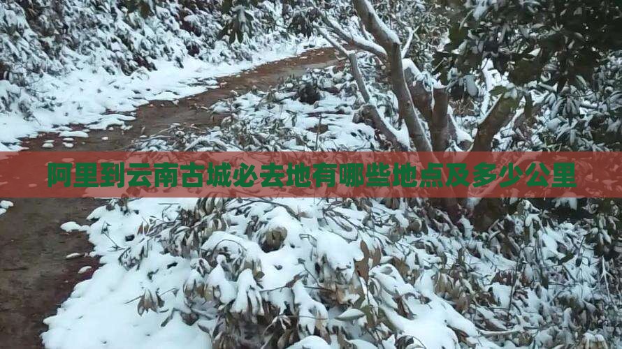 阿里到云南古城必去地