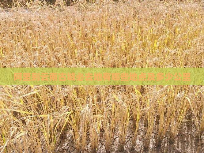 阿里到云南古城必去地