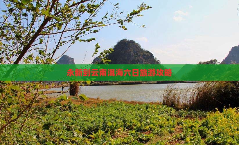 永新到云南洱海六日游 永新到云南洱海六日游