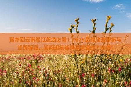 宿州到云南丽江旅游