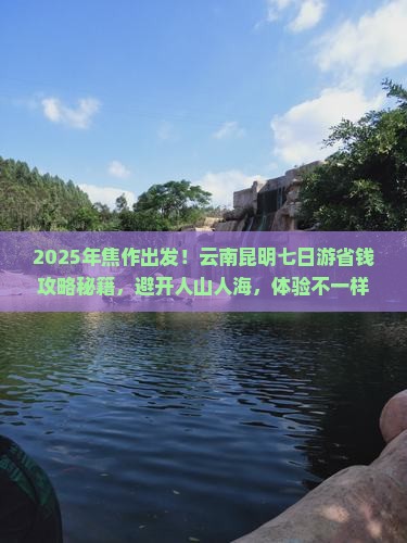 焦作到云南昆明七日游