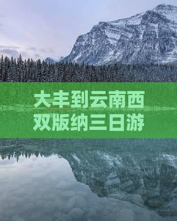 大丰到云南西双版纳三日游