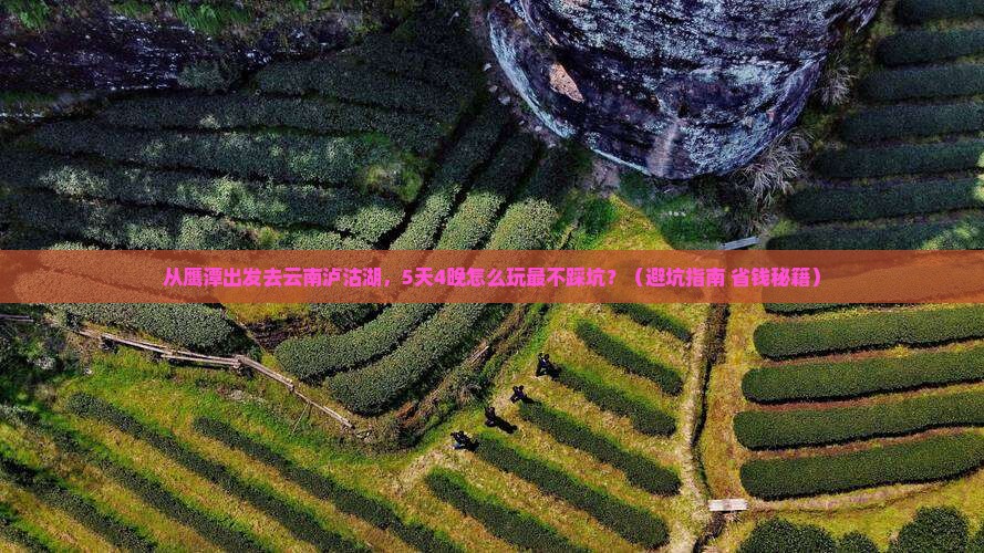 鹰潭到云南泸沽湖大型旅游团