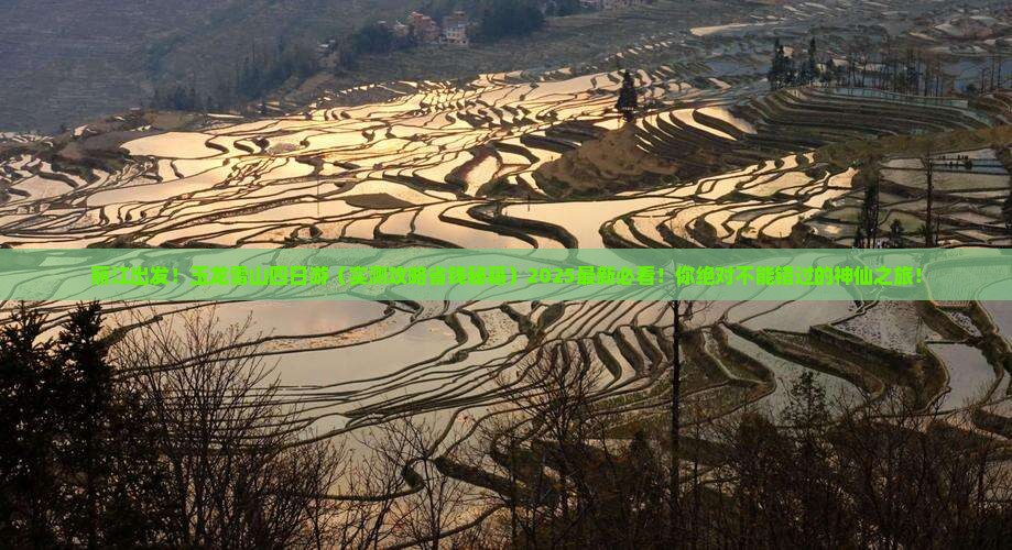 丽江到云南玉龙雪山四日游 丽江到云南玉龙雪山四日游