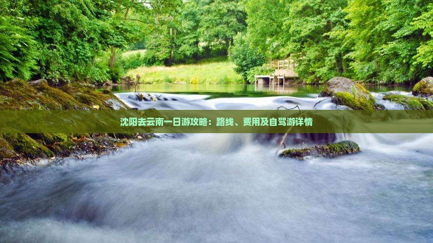 沈阳去云南一日游攻略：路线、费用及自驾游详情