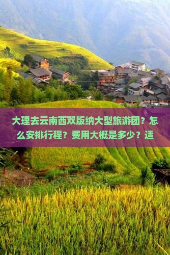 大理去云南西双版纳大型旅游团？怎么安排行程？费用大概是多少？适合哪些人群？
