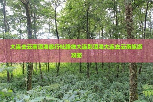大连去云南洱海旅行社路线大连到洱海大连去云南旅游攻略