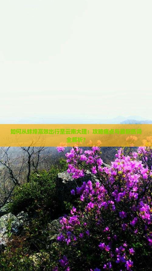 如何从蚌埠高效出行至云南大理：攻略痛点与最新热词全解析？