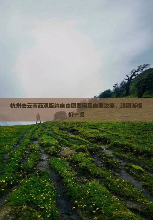 杭州去云南西双版纳自由团费用及自驾攻略，跟团游报价一览
