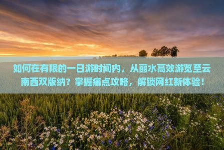 如何在有限的一日游时间内，从丽水高效游览至云南西双版纳？掌握痛点攻略，解锁网红新体验！