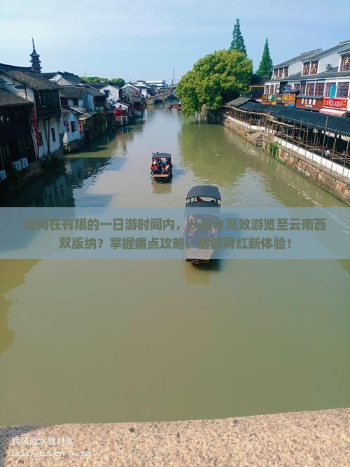 如何在有限的一日游时间内，从丽水高效游览至云南西双版纳？掌握痛点攻略，解锁网红新体验！