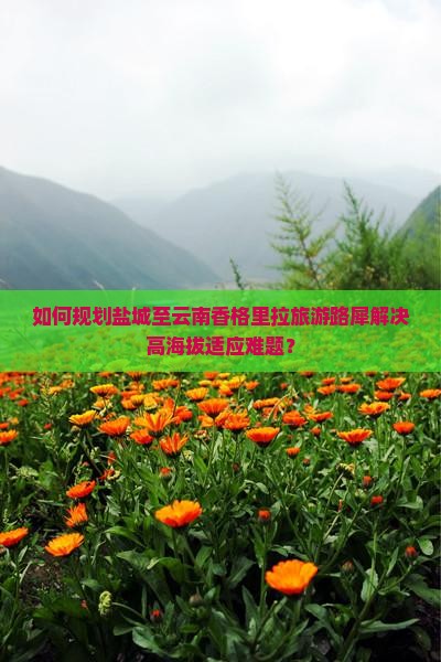 如何规划盐城至云南香格里拉旅游路犀解决高海拔适应难题？