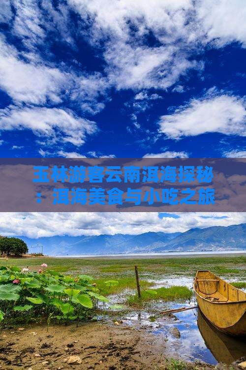 玉林游客云南洱海探秘：洱海美食与小吃之旅