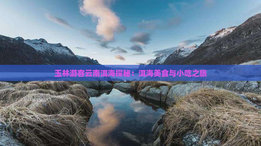 玉林游客云南洱海探秘：洱海美食与小吃之旅