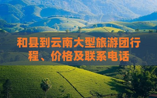 和县到云南大型旅游团行程、价格及联系电话