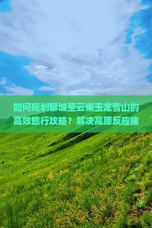 如何规划聊城至云南玉龙雪山的高效旅行攻略？解决高原反应痛点，掌握最新网红打卡地！