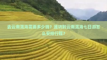去云南洱海需要多少钱？潍坊到云南洱海七日游怎么安排行程？