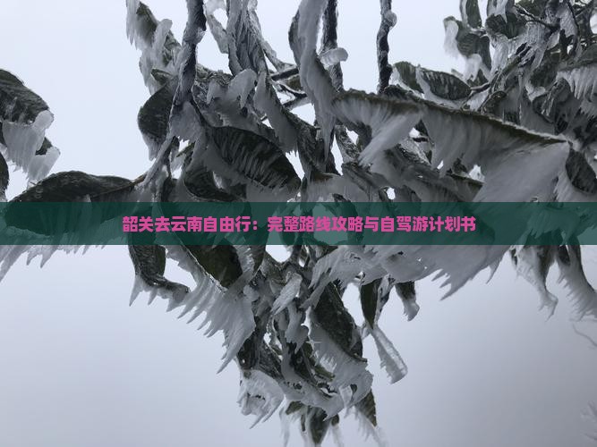 韶关去云南自由行：完整路线攻略与自驾游计划书