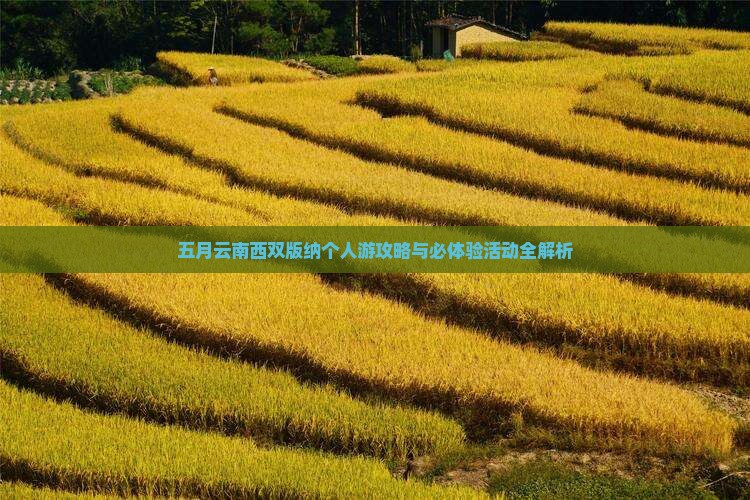 五月云南西双版纳个人游攻略与必体验活动全解析