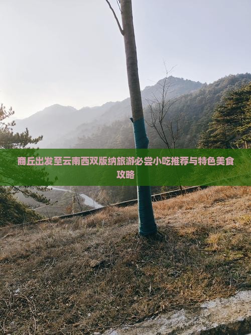 商丘出发至云南西双版纳旅游必尝小吃推荐与特色美食攻略