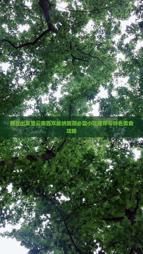 商丘出发至云南西双版纳旅游必尝小吃推荐与特色美食攻略