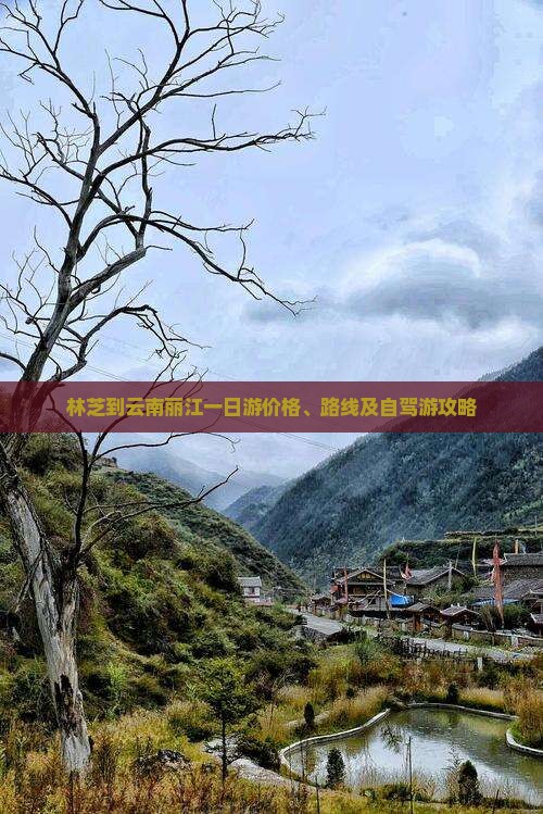 林芝到云南丽江一日游价格、路线及自驾游攻略