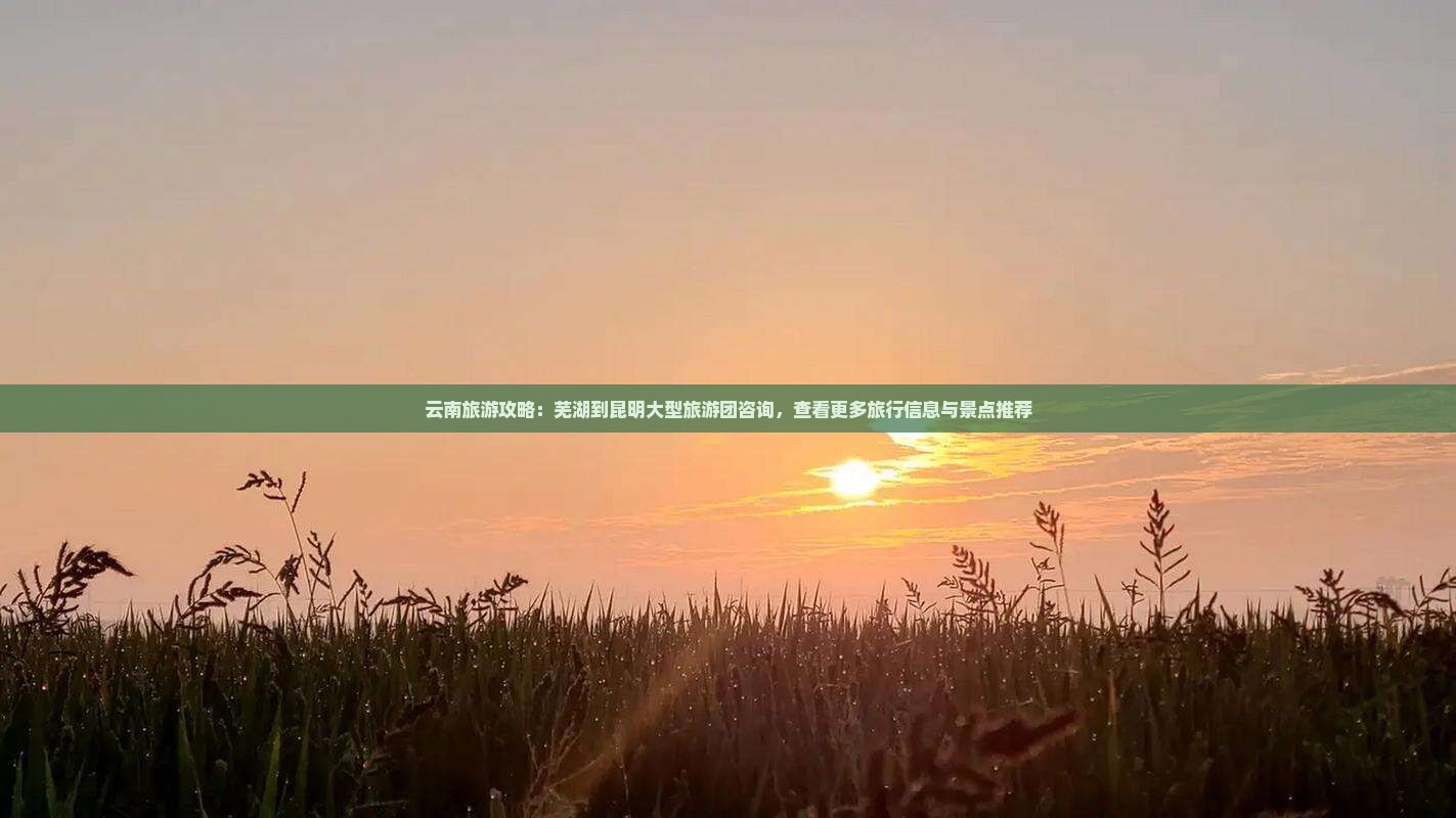 云南旅游攻略：芜湖到昆明大型旅游团咨询，查看更多旅行信息与景点推荐