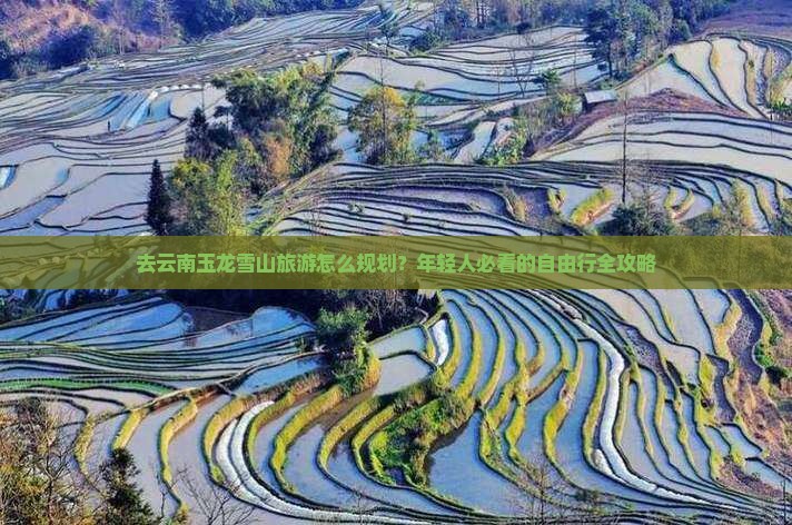 去云南玉龙雪山旅游怎么规划？年轻人必看的自由行全攻略