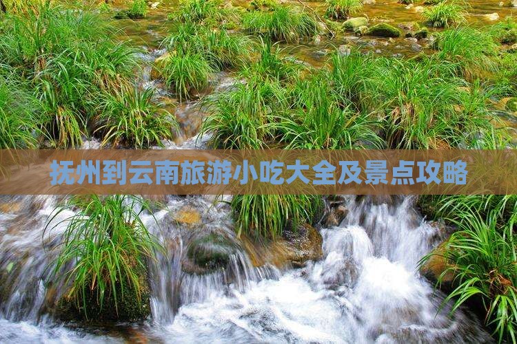 抚州到云南旅游小吃大全及景点攻略