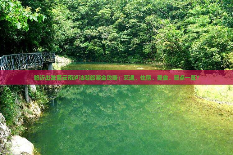 临沂出发至云南泸沽湖旅游全攻略：交通、住宿、美食、景点一览？
