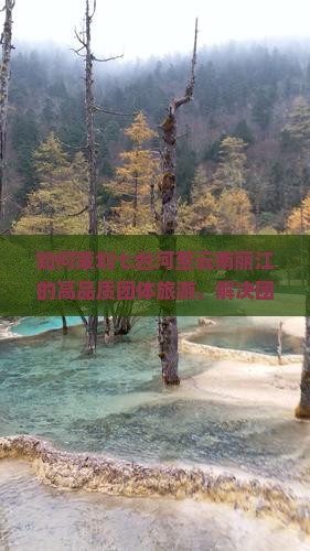 如何策划七台河至云南丽江的高品质团体旅游，解决团员个性化需求及降低旅行成本？