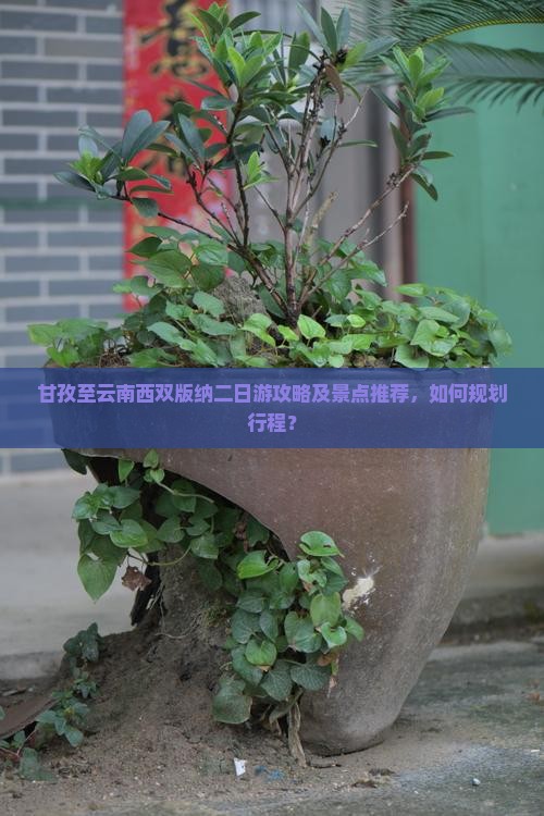 甘孜至云南西双版纳二日游攻略及景点推荐，如何规划行程？
