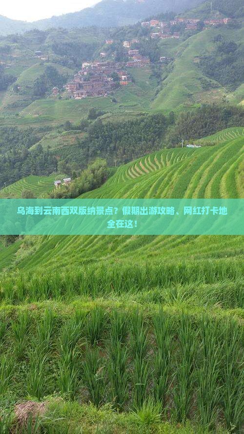 乌海到云南西双版纳景点？假期出游攻略、网红打卡地全在这！
