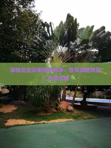 攀枝花去云南团体旅游：自驾游路线及二日游攻略