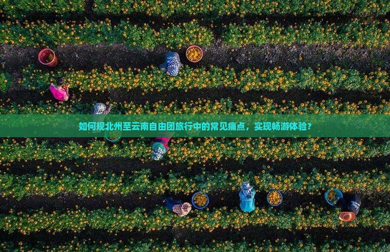 如何规北州至云南自由团旅行中的常见痛点，实现畅游体验？