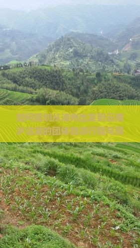 如何规划从漳州出发到云南泸沽湖的团体旅游行程与预算？