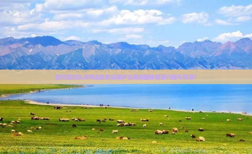如何规划从漳州出发到云南泸沽湖的团体旅游行程与预算？