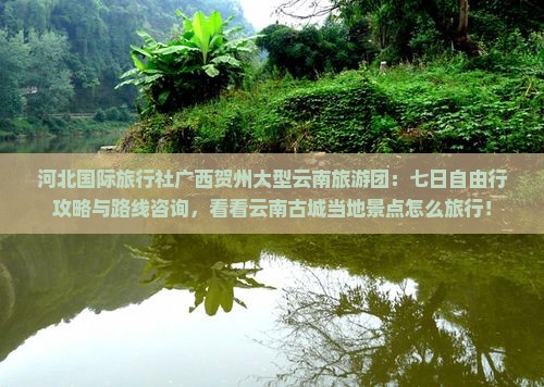 河北国际旅行社广西贺州大型云南旅游团：七日自由行攻略与路线咨询，看看云南古城当地景点怎么旅行！