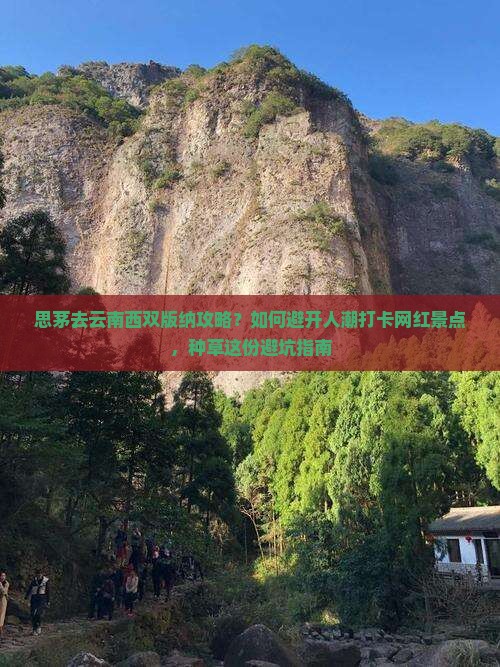 思茅去云南西双版纳攻略？如何避开人潮打卡网红景点，种草这份避坑指南