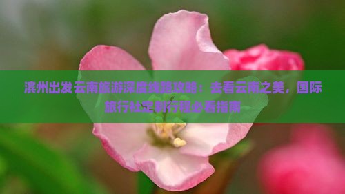 滨州出发云南旅游深度线路攻略：去看云南之美，国际旅行社定制行程必看指南