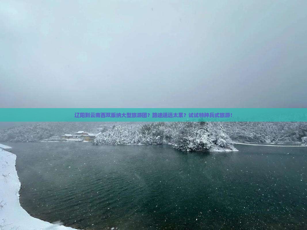 辽阳到云南西双版纳大型旅游团？路途遥远太累？试试特种兵式旅游！