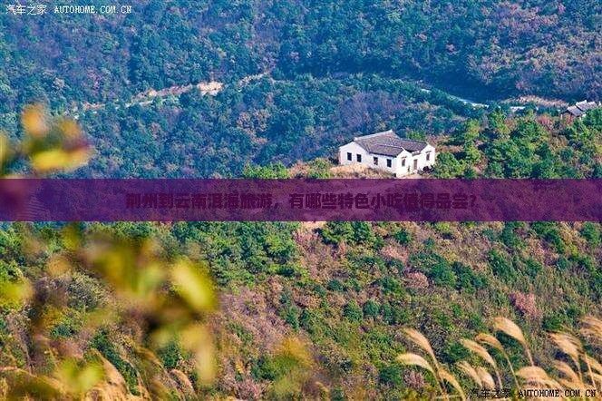 荆州到云南洱海旅游，有哪些特色小吃值得品尝？