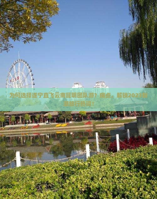 为何选择遂宁直飞云南昆明团队游？痛点，解锁2023新潮旅行热词！