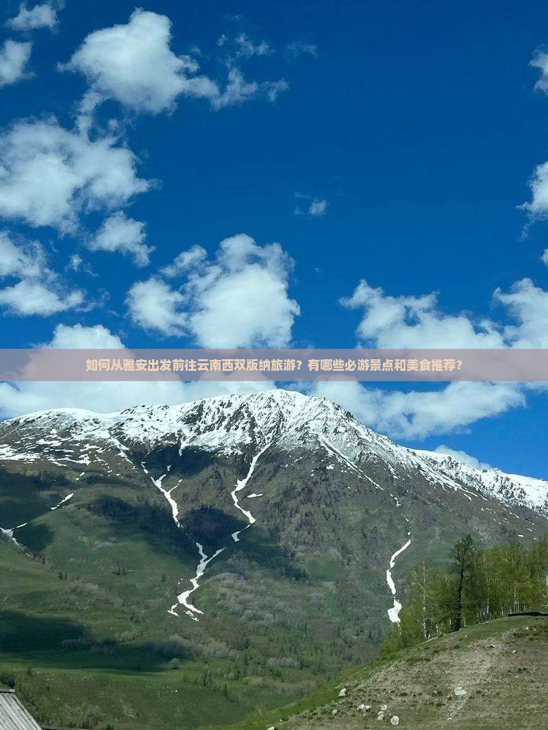 如何从雅安出发前往云南西双版纳旅游？有哪些必游景点和美食推荐？