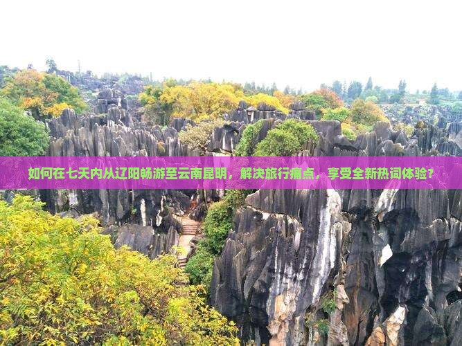 如何在七天内从辽阳畅游至云南昆明，解决旅行痛点，享受全新热词体验？