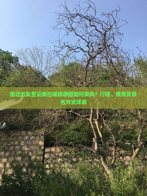 宿迁出发至云南古城旅游团如何安排？行程、费用及报名方式详解