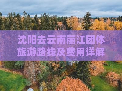 沈阳去云南丽江团体旅游路线及费用详解