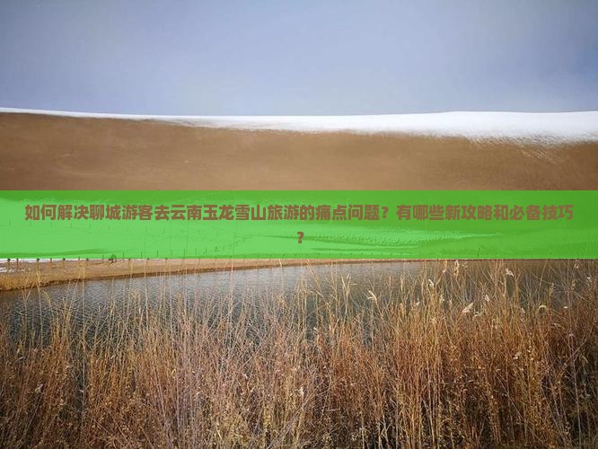 如何解决聊城游客去云南玉龙雪山旅游的痛点问题？有哪些新攻略和必备技巧？